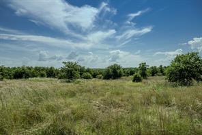 001 W Pleasant Valley Road - Photo 23