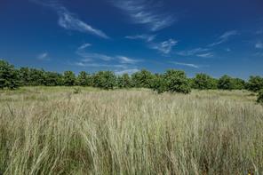 001 W Pleasant Valley Road - Photo 31