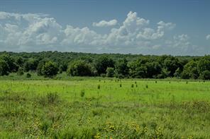 001 W Pleasant Valley Road - Photo 33