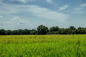 001 W Pleasant Valley Road - Photo 36