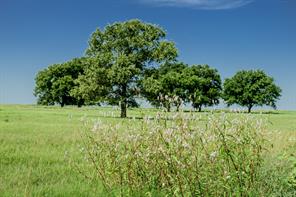 001 W Pleasant Valley Road - Photo 4