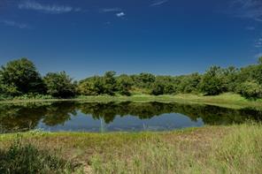001 W Pleasant Valley Road - Photo 7