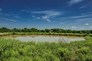 001 W Pleasant Valley Road - Photo 8