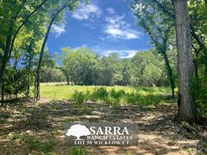 Lot 50 Wicklow Court - Photo 1