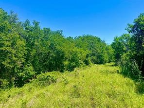 Lot 35 Galway Road - Photo 1