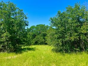 Lot 34 Galway Rd - Photo 1