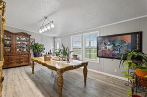 5909 Black Springs Lane - Photo 11