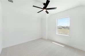 4212 Pallid Street - Photo 32