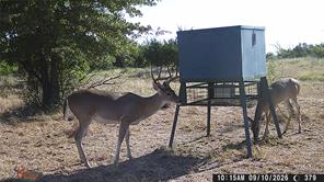 TBD Tr 4 US HWY 281 - Photo 11
