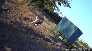 TBD Tr 4 US HWY 281 - Photo 12