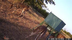 TBD Tr 4 US HWY 281 - Photo 13