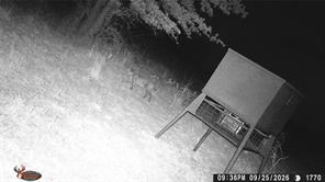 TBD Tr 4 US HWY 281 - Photo 15