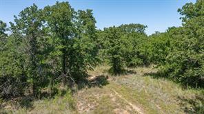 TBD Tr 4 US HWY 281 - Photo 16