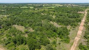 TBD Tr 4 US HWY 281 - Photo 30