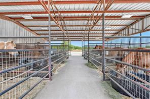 20910 US Highway 377 - Photo 19