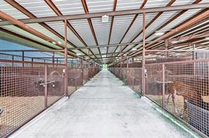 20910 US Highway 377 - Photo 26