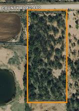 TBD Hillcrest / CR 440 - Photo 1