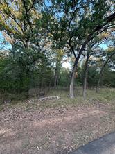 101 Cedar Oaks Drive - Photo 1