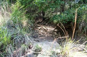 LOT 665 Silver Leaf Drive - Photo 12