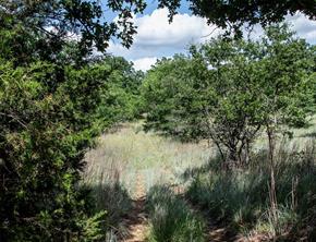 LOT 665 Silver Leaf Drive - Photo 13