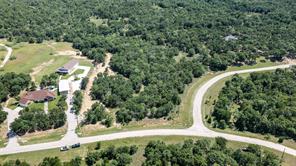 LOT 665 Silver Leaf Drive - Photo 9