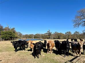 0 County Road 2104 - Photo 4