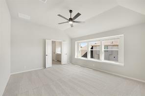 825 Twisted Leaf Lane - Photo 29