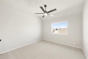825 Twisted Leaf Lane - Photo 32