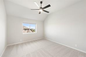 825 Twisted Leaf Lane - Photo 35