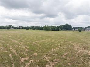 Lot 2 CR 561 - Photo 7