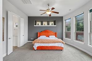 10817 Pedernales Falls Drive - Photo 16