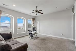 10817 Pedernales Falls Drive - Photo 22