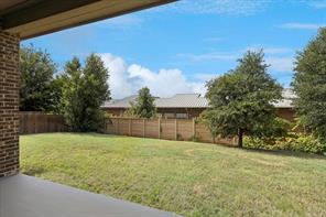 10817 Pedernales Falls Drive - Photo 33