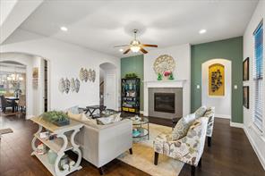 10817 Pedernales Falls Drive - Photo 8