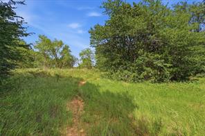 7277 W Line Road - Photo 29