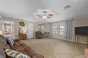 4381 County Line Parkway - Photo 4