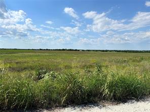 000 Private road 196 - Photo 3