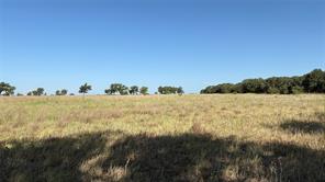 TBD County Road 366 - Photo 10