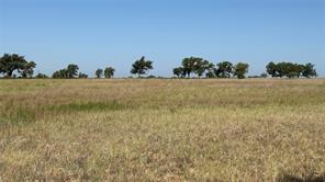 TBD County Road 366 - Photo 11