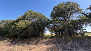 TBD County Road 366 - Photo 12