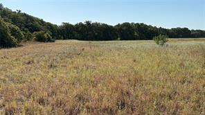 TBD County Road 366 - Photo 13