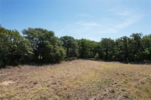 TBD County Road 366 - Photo 15