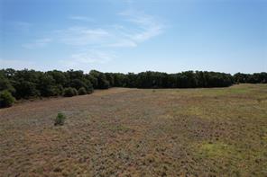 TBD County Road 366 - Photo 3
