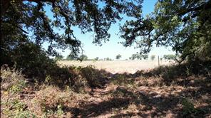 TBD County Road 366 - Photo 4