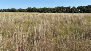 TBD County Road 366 - Photo 8