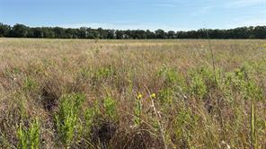 TBD County Road 366 - Photo 9