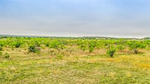 Lot 3 County Road 322 - Photo 4