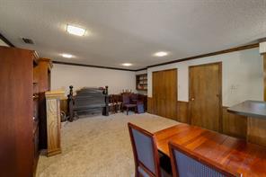 203 Tanya Drive - Photo 31