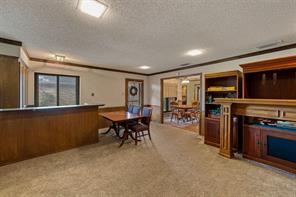 203 Tanya Drive - Photo 32