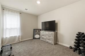1212 Trailblazer Way - Photo 19